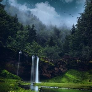 Meet your Posher, Danna